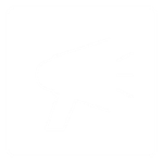 NoR
